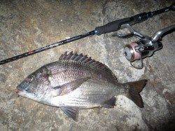 ジグヘッド+〇〇〇?! ぬーちー調査♪