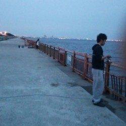 南芦屋浜ベランダ夕方はイカ類！