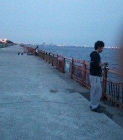 南芦屋浜ベランダ夕方はイカ類！