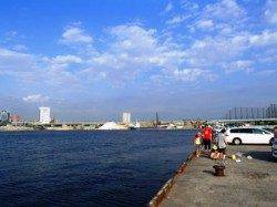 サビキ釣りで小サバ♪泉大津RT。夕方