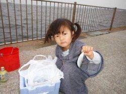 【カタクチイワシ＆ママカリ♪】南芦屋浜