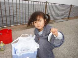 【カタクチイワシ＆ママカリ♪】南芦屋浜 