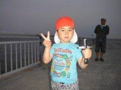 【カタクチイワシ＆ママカリ♪】南芦屋浜