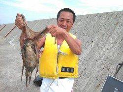 【ムコイチはタコフィーバー】1.5ｋｇのちょ～良型マダコ！