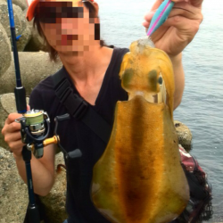 深日、デイエギングで500gのアオリＧＥＴ！