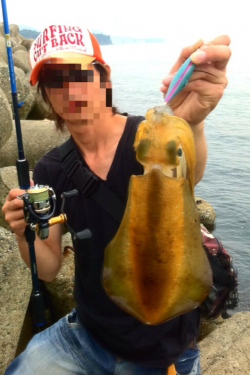 深日、デイエギングで500gのアオリＧＥＴ！