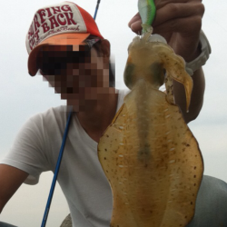 深日　夕まづめに粘りのエギングでアオリイカ300g