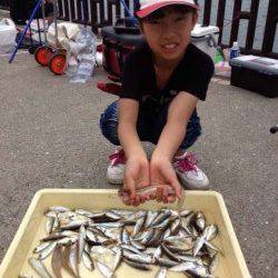 マリーナシティ海釣り公園　投げ＆サビキでキスやアジの釣果