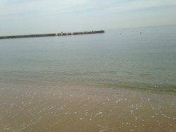 須磨　投げ釣りでキス〜21cmを50匹　他テンコチ・ハゼも