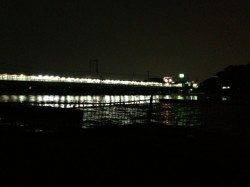 武庫川河口、ぶっこみ釣りでウナギの釣果