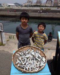 マリーナ海釣り公園、イワシいっぱい釣れてお子さんも大満足♪