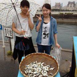 マリーナシティ海釣り公園 サビキで豆アジ200尾!ファミリーにオススメ