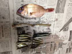 津井～船瀬エリア、投げ釣り・サビキでアジ・…