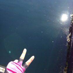 家島の海上釣り堀　釣りガールがマダイ15匹＆メジロ・カンパチの好釣果