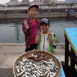 マリーナシティ海釣り公園　サビキで豆アジ200尾！他アコウ22cmも