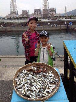 マリーナシティ海釣り公園　サビキで豆アジ200尾！他アコウ22cmも
