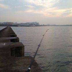 西宮浜　早朝1時間のタコ掛け釣行でマダコ2ハイ