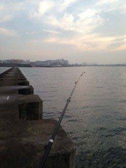 西宮浜　早朝1時間のタコ掛け釣行でマダコ2ハイ