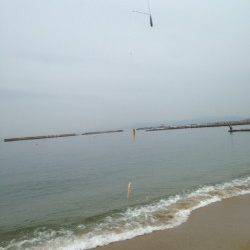 須磨　投げ釣りでキス〜21cmを50匹　他テンコチ・ハゼも