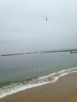 須磨　投げ釣りでキス〜21cmを50匹　他テンコチ・ハゼも