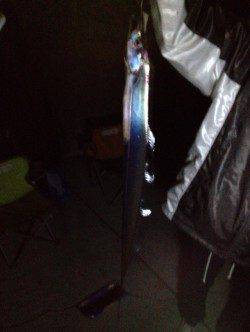 深夜から明け方にかけての太刀魚釣り、何とか2匹ゲット！