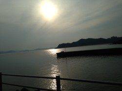 津井～船瀬エリア、投げ釣り・サビキでアジ・キス・イワシの釣果