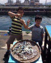 マリーナシティ海釣り公園　サビキの豆アジいぜん好調