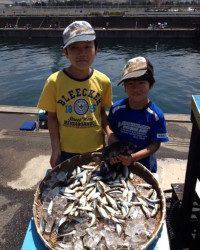 マリーナシティ海釣り公園　サビキの豆アジいぜん好調