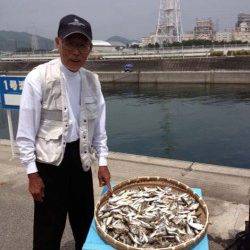 マリーナシティ海釣り公園　投げ＆サビキでキスやアジの釣果