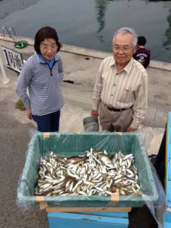 マリーナシティ、サビキ釣りでアジ1300尾…