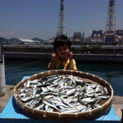 マリーナシティ海釣り公園、連日サビキ好調です！