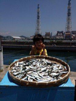 マリーナシティ海釣り公園、連日サビキ好調です！