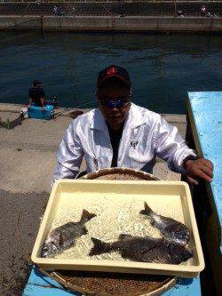 マリーナシティ海釣り公園、突堤部で紀州釣り、チヌの釣果