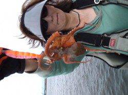 汐見埠頭　ルアーでタコ釣り楽しめます☆