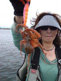 汐見埠頭　ルアーでタコ釣り楽しめます☆