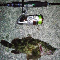 明石港　メバリングで久しぶりのガシラ♪