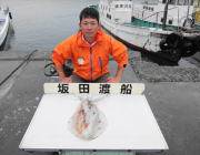 黒島の磯　ヤエンのアオリイカまだまだ釣れそうです