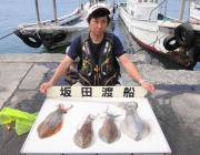 ヤエンでアオリイカ2.2ｋｇ　黒島の磯