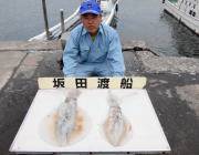 黒島の磯　ヤエンで良型アオリイカ