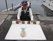 黒島の筏のウキ釣り情報　スズキとアオリ☆