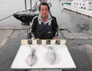 黒島の筏のウキ釣り情報　スズキとアオリ☆