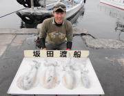 【エギ&ヤエン】【アオリ&…