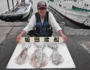 2キロ前後の良型アオリイカ♪　黒島の磯