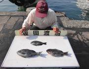 梅雨グレシーズンそろそろか！？