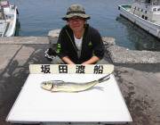 黒島の磯　ルアーでシイラをキャッチ