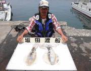 黒島の磯　8日のアオリイカ釣果