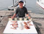 ガシラ10匹にアオリイカも♪　黒島の磯