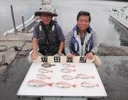 シラサでマダイ釣れてます　黒島の筏