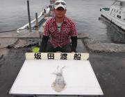 黒島の磯　アオリイカの釣果