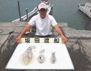 黒島の磯　ナチュラル系カラーでアオリイカ